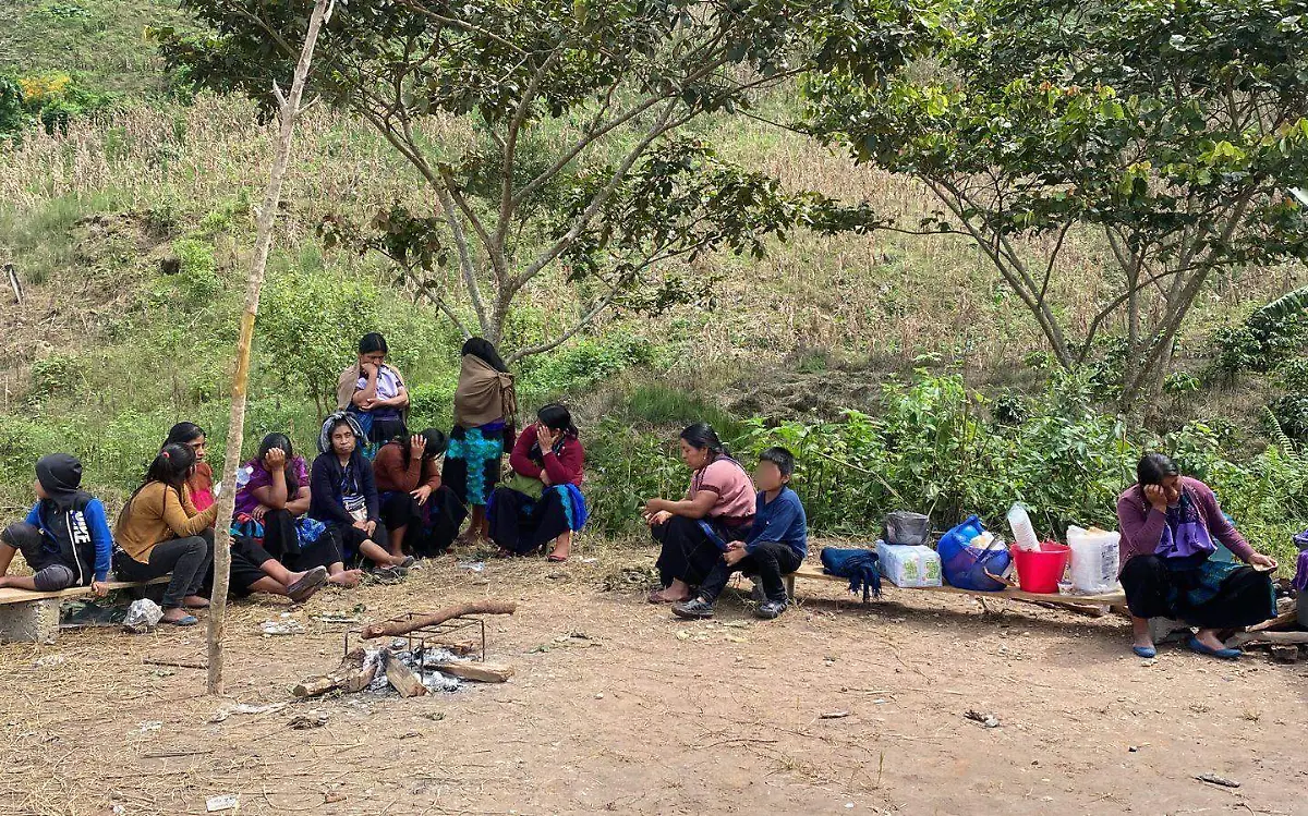Desplazados (1)