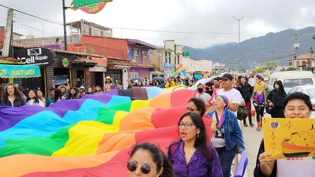 marcha lgbt+