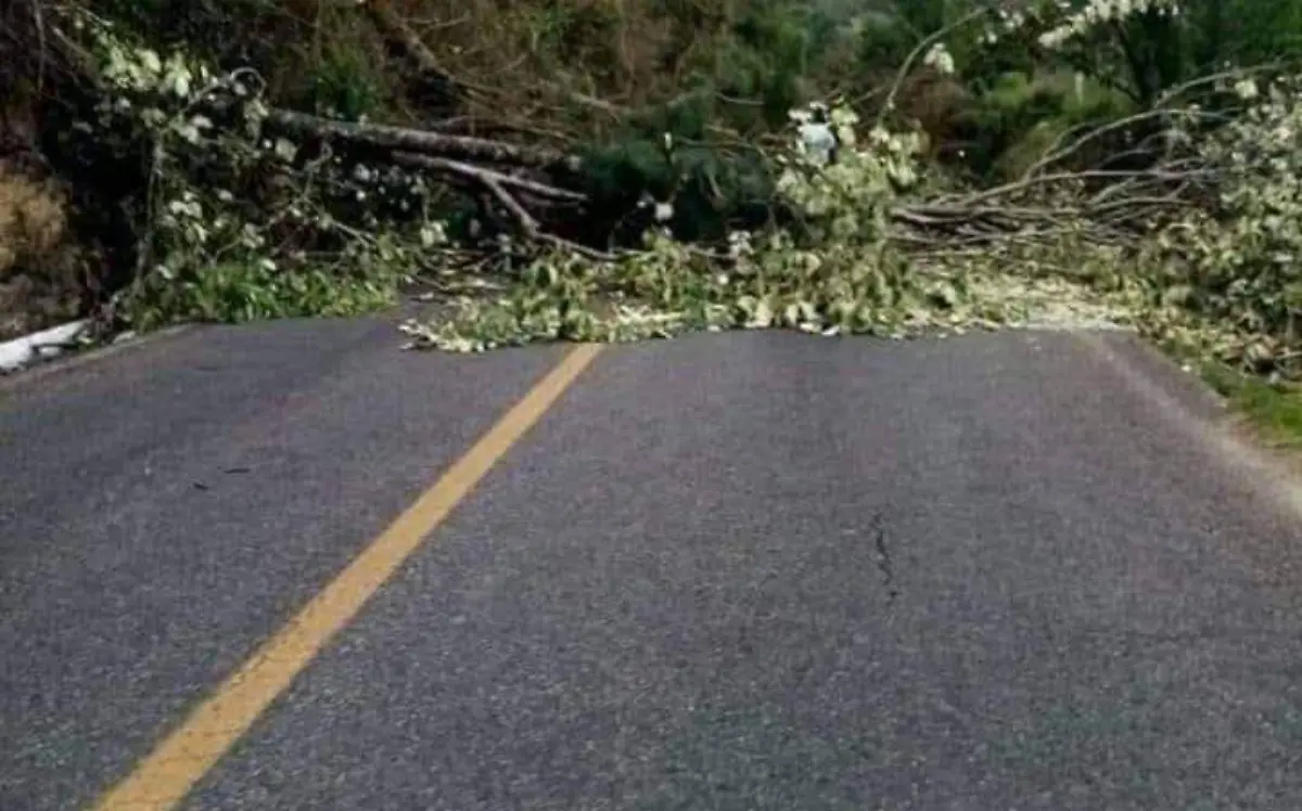 Mantienen el bloqueo carretero total en Oxchuc