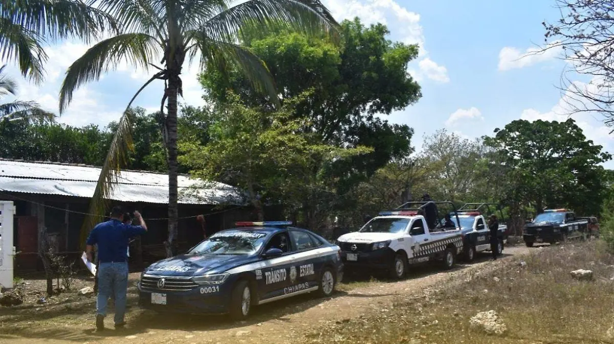 clausuran pelea de gallos