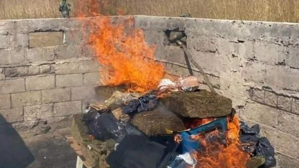 WhatsApp Image 2022-02-22 at 3.49.25 PM