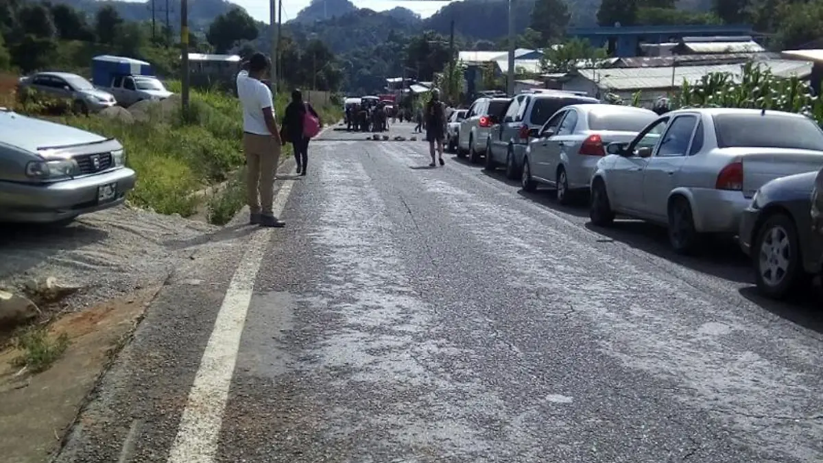 P15-1B-transporteOG4