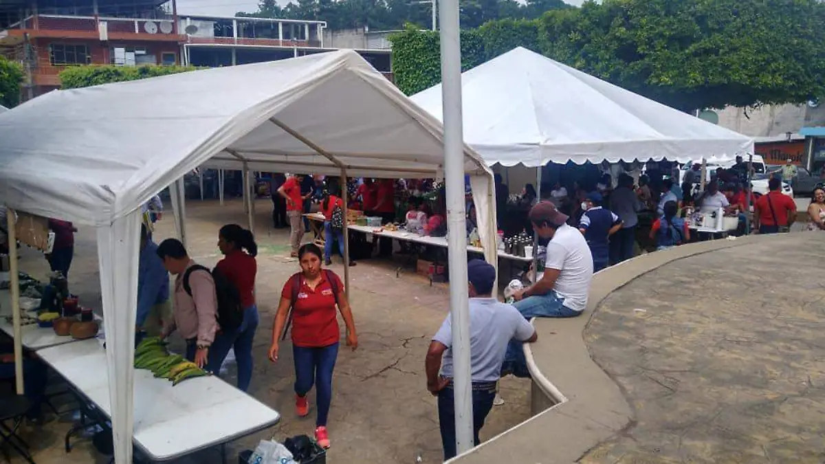 Tianguis campesino