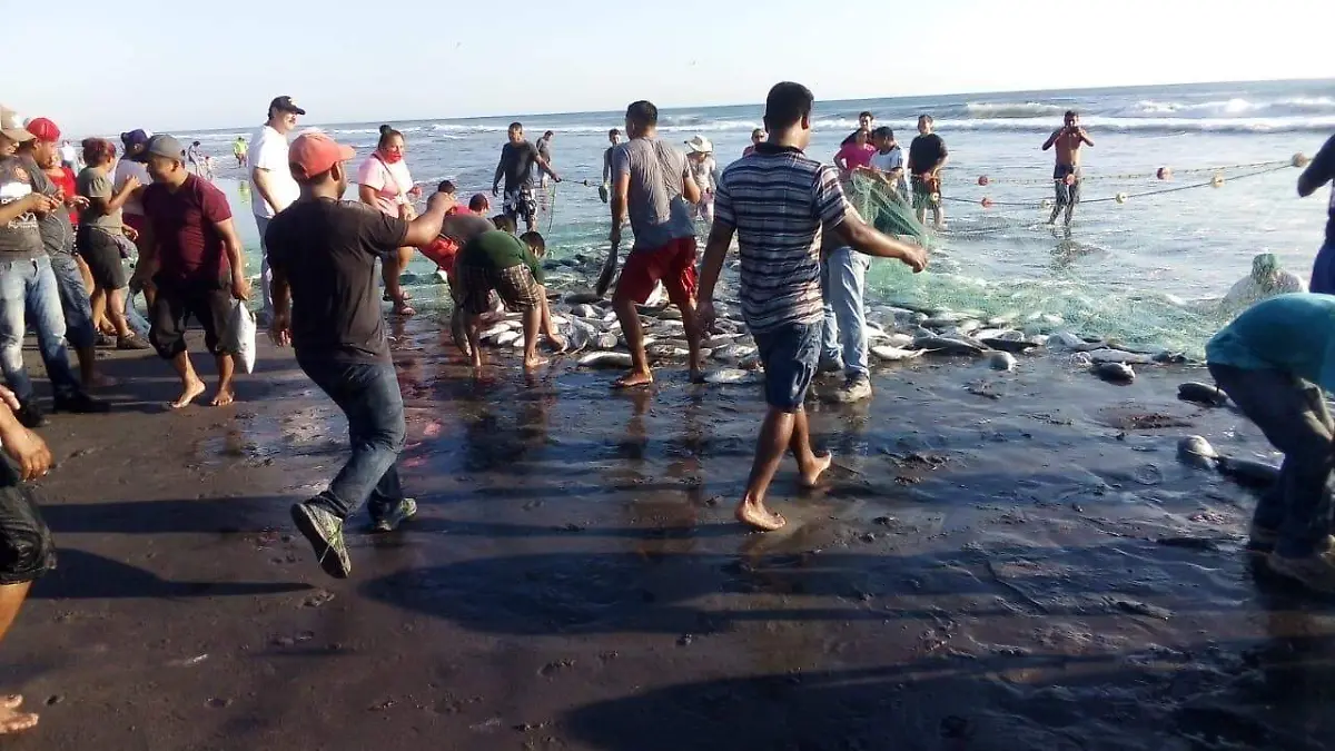 pesca sorprendente en playa del sol 