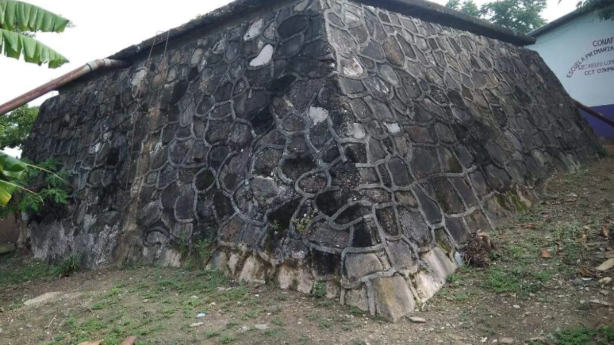 comuneros fumigaciones
