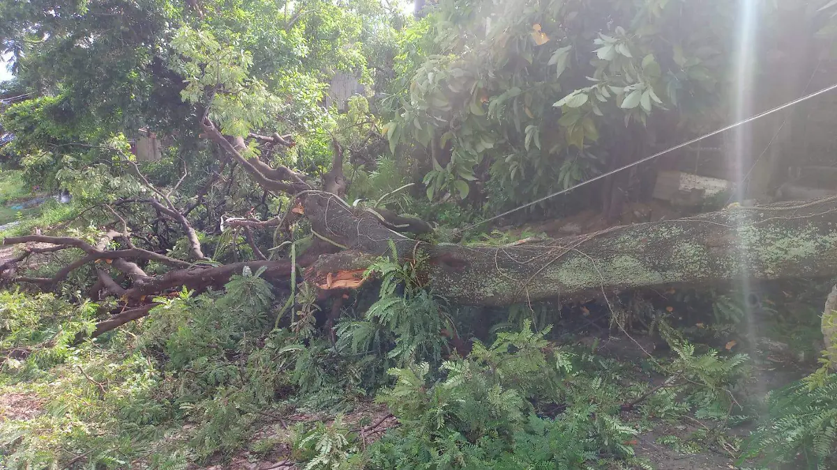 Afectaciones por lluvia
