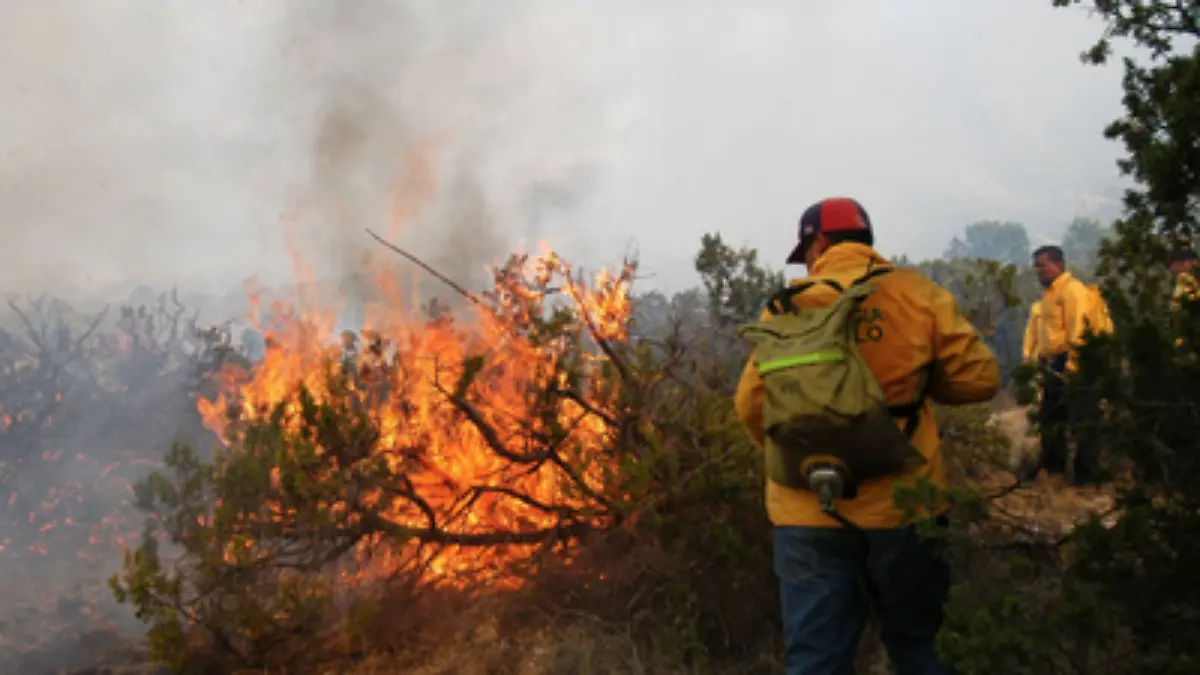 incendio 9