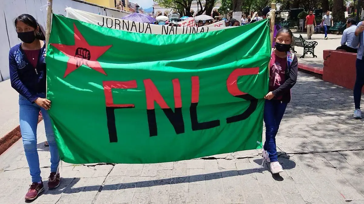 marcha de mujeres4