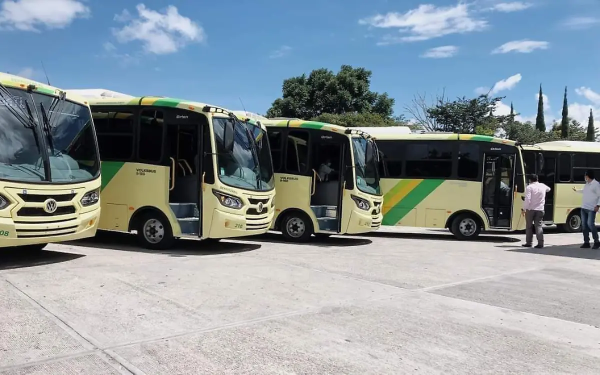 WhatsApp Image 2022-09-07 at 11.52.59