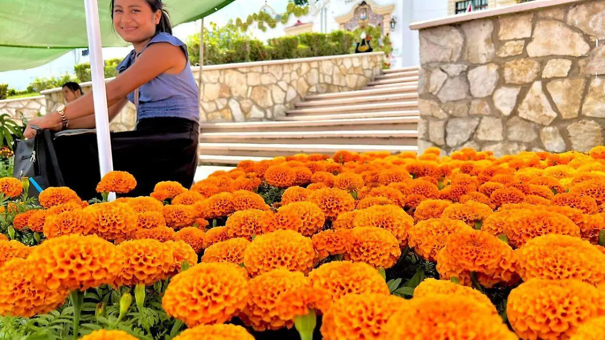 Comienza la temporada de Cempaxúchitl en Berriozábal