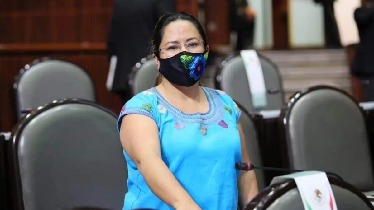 diputada caso dylan