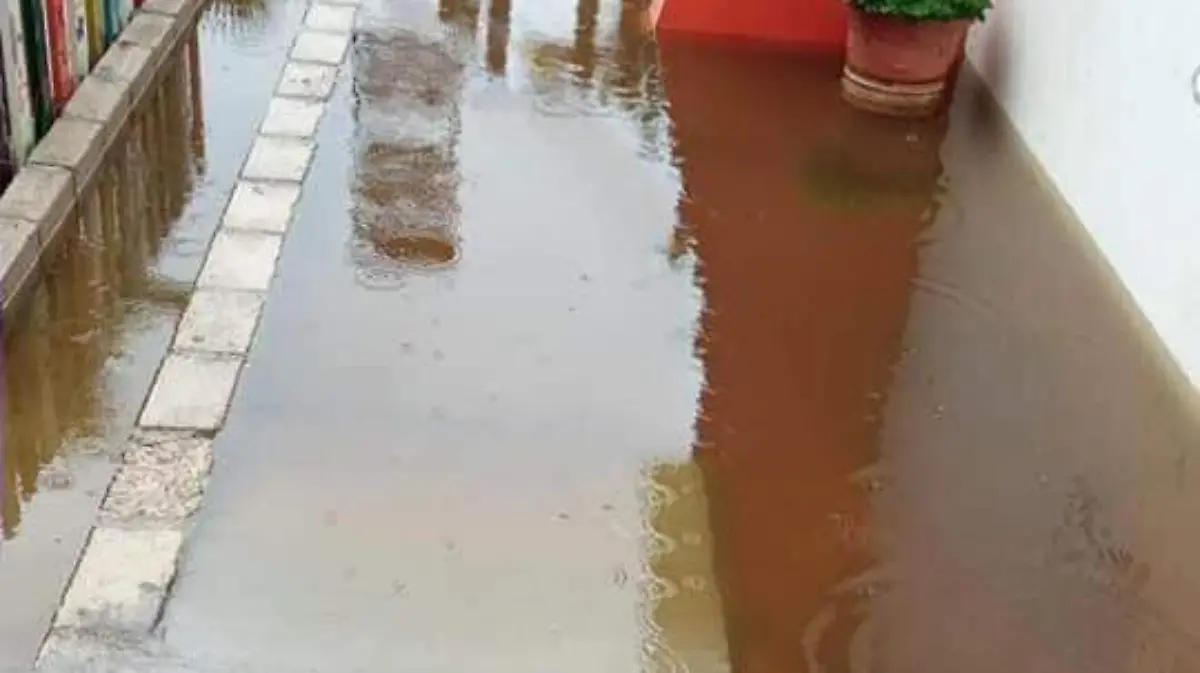 Escuelas afectadas