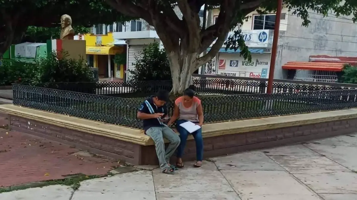 blibliotecario renuncia 3