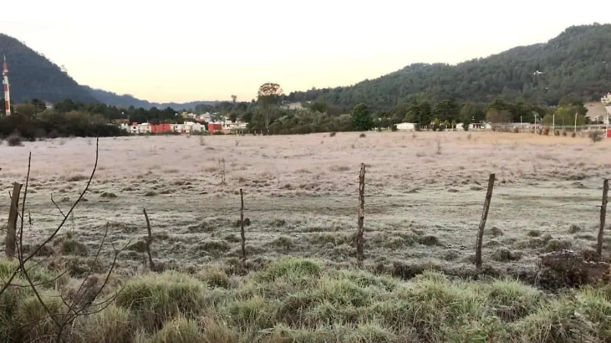 Helada en San Cristóbal