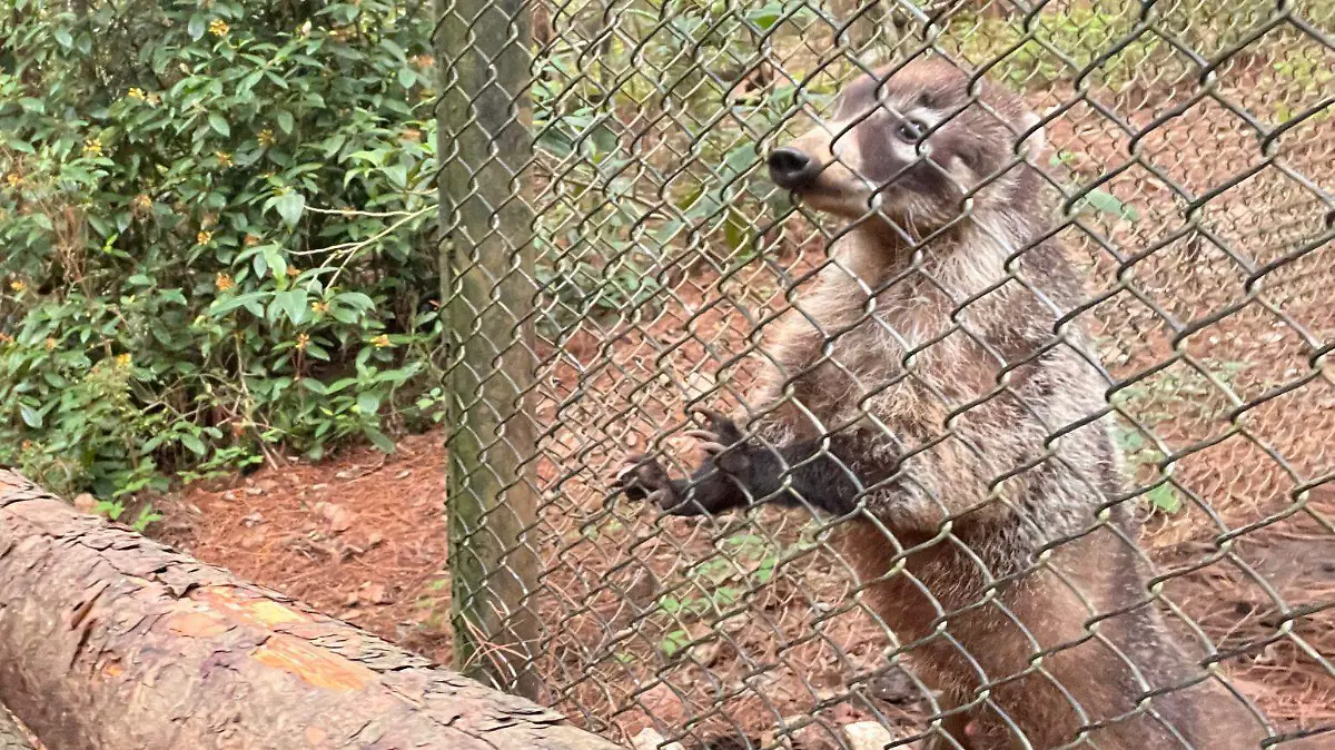 centros turísitcos SCLC2