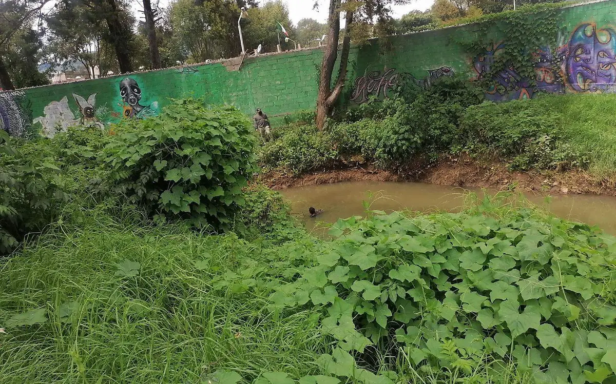 WhatsApp Image 2022-09-24 at 18.16.33