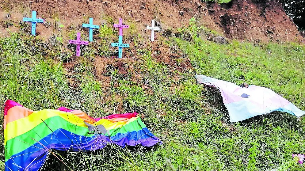 Principal Feminicidios 2