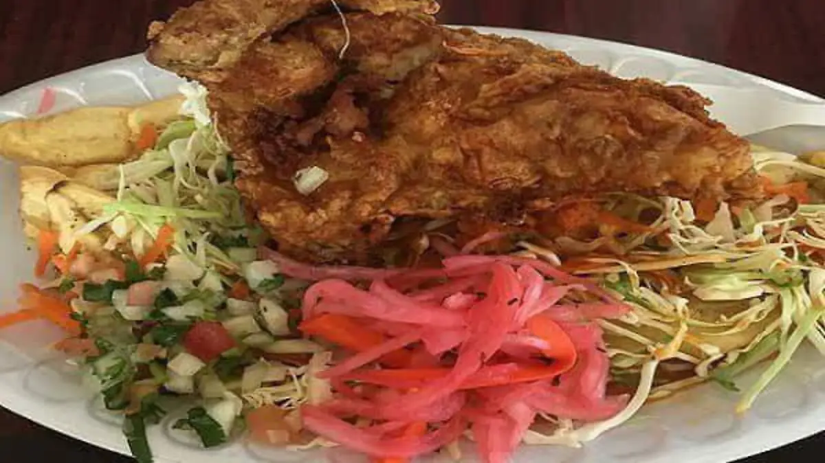 Gastro 3