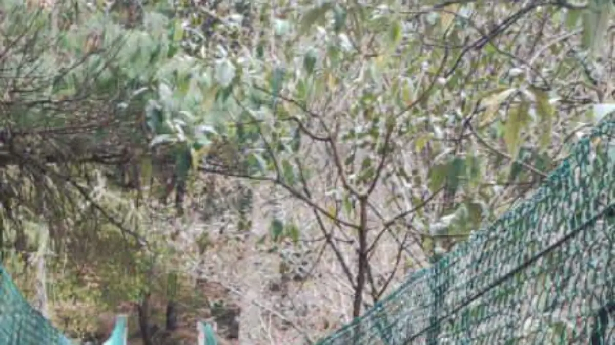 centros turísitcos SCLC3