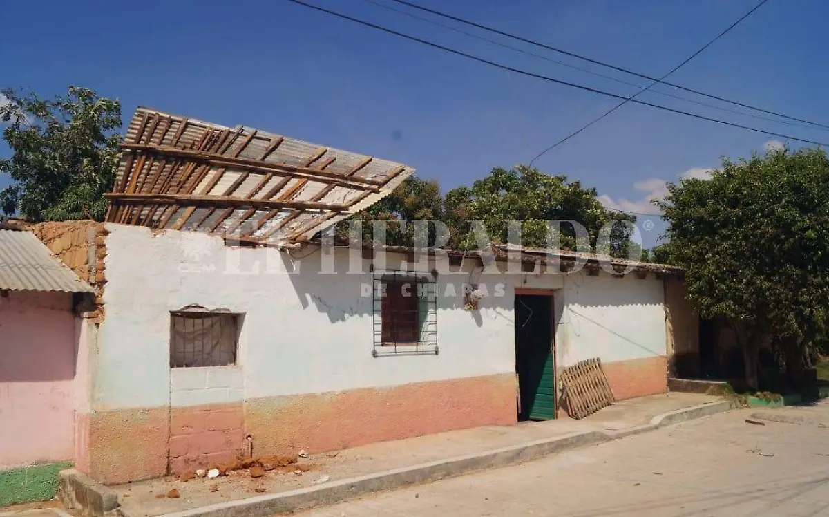 WhatsApp Image 2022-03-10 at 3.27.43 PM