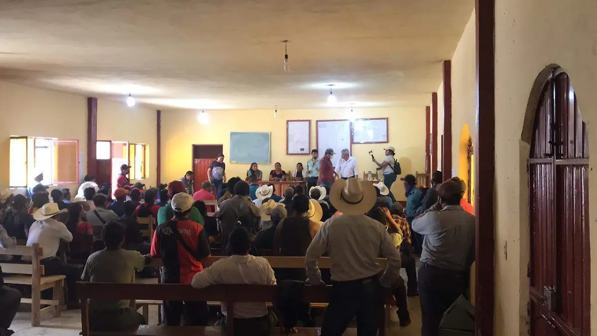 altamirano designa concejo municipal 2 