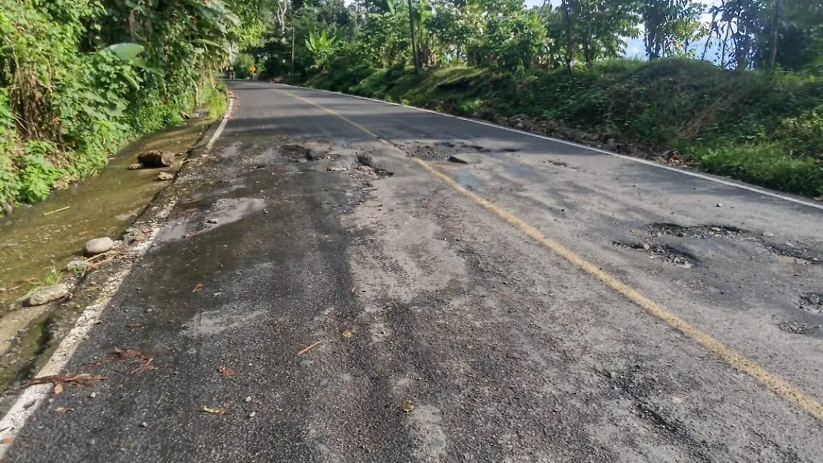 carretera ruta café