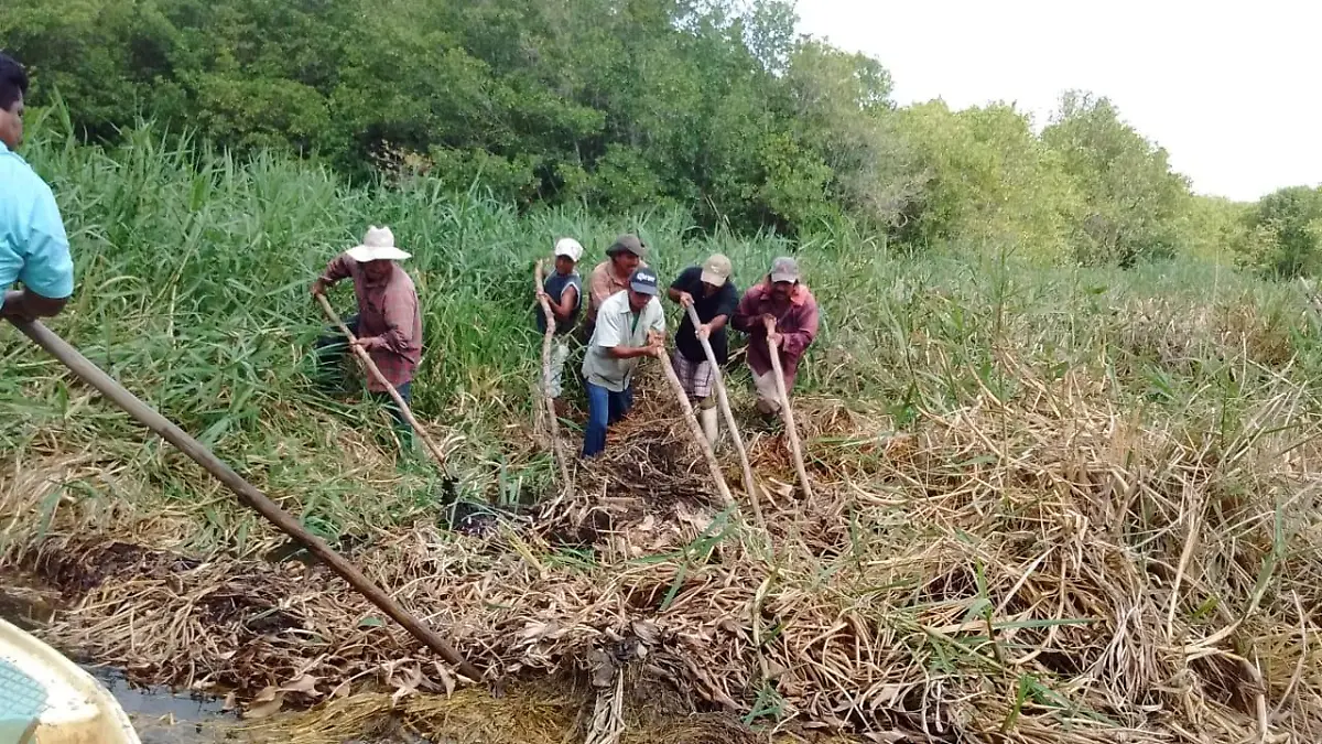 P15-1B-ingenioRZ-DS6