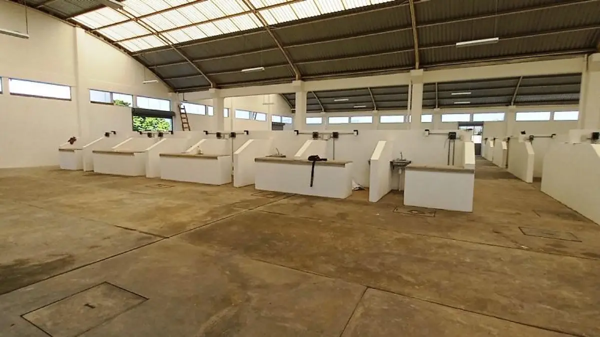 Mercado2
