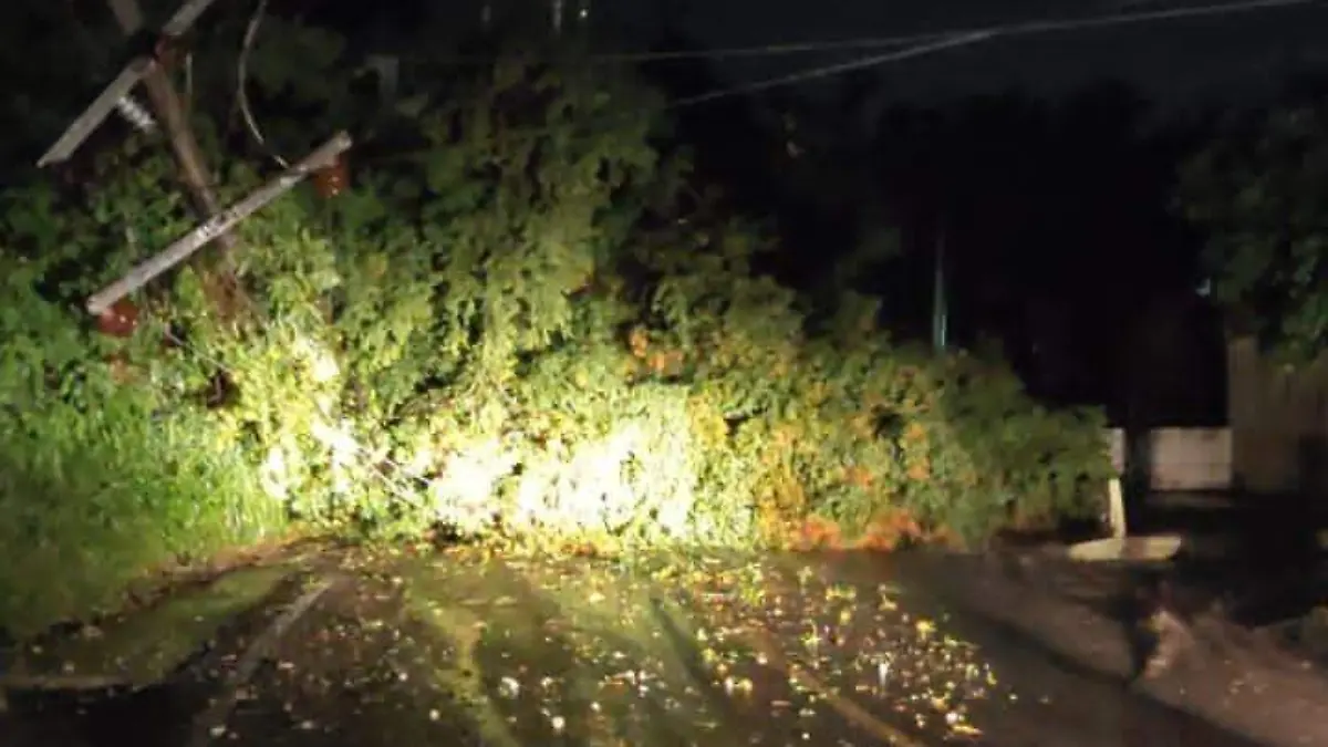 Afectaciones por lluvia