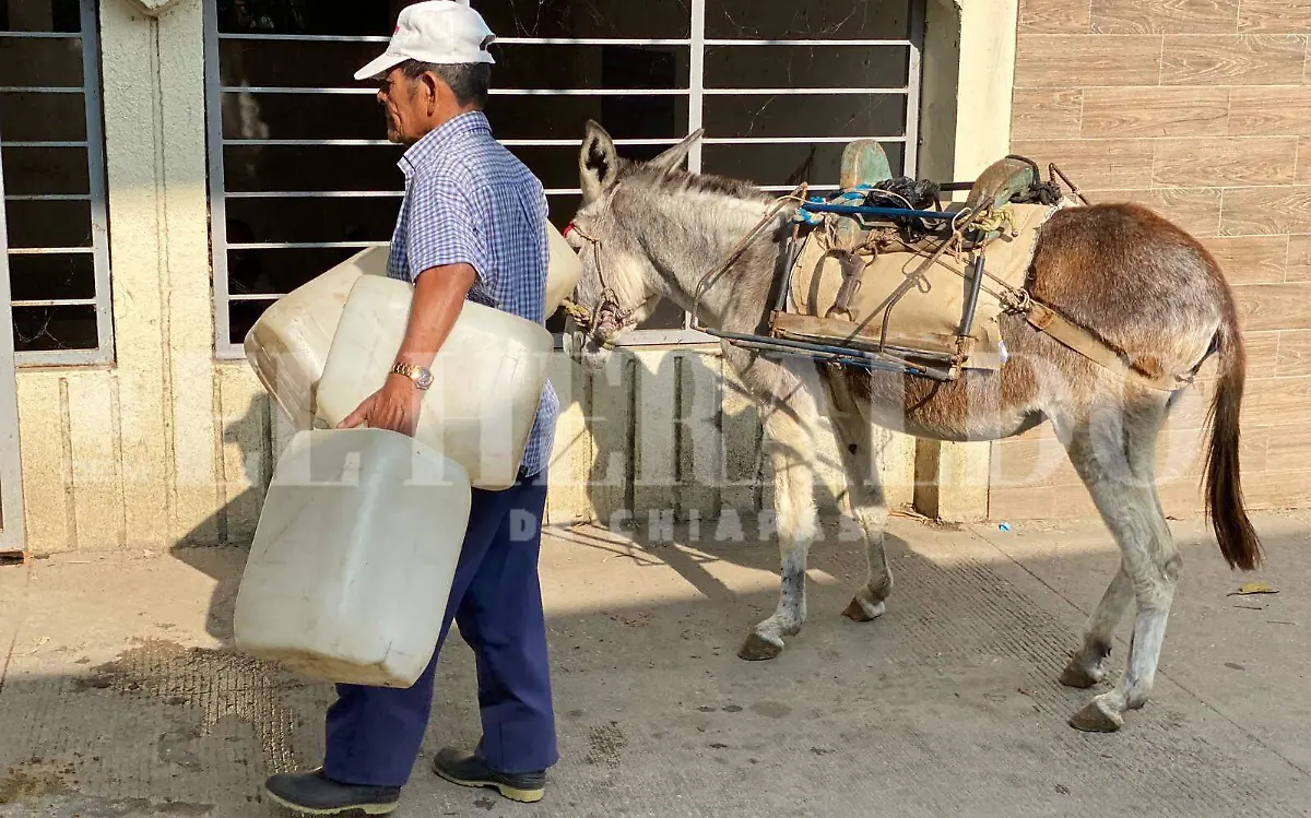 Burreteros de San Fernando