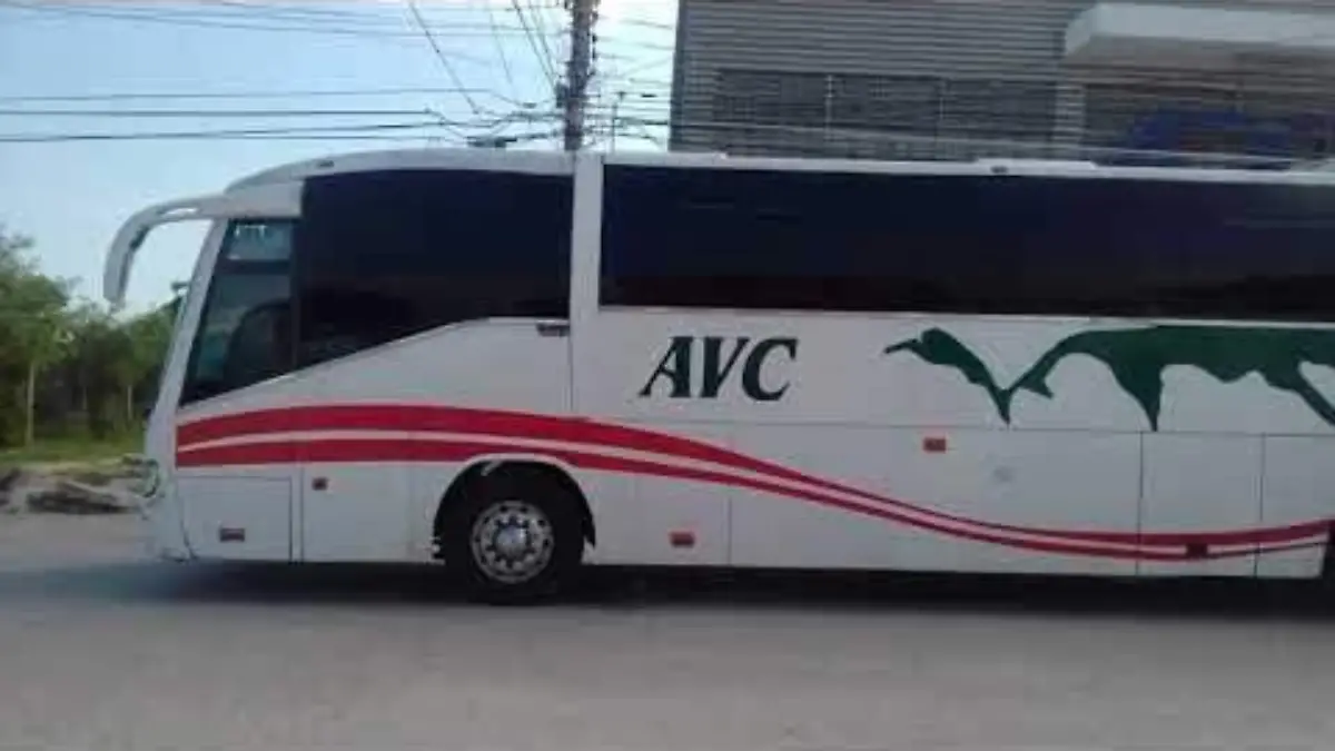 autobuses AVC