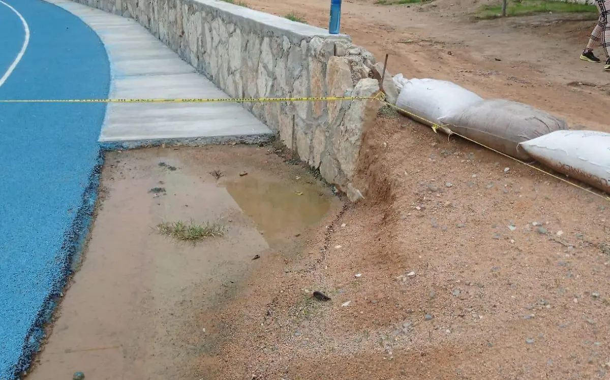 Pista de tartán (2)