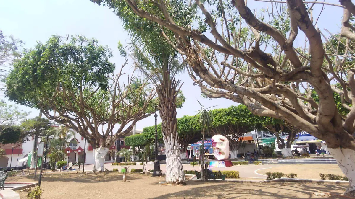 Parque central Ocozocoautla4