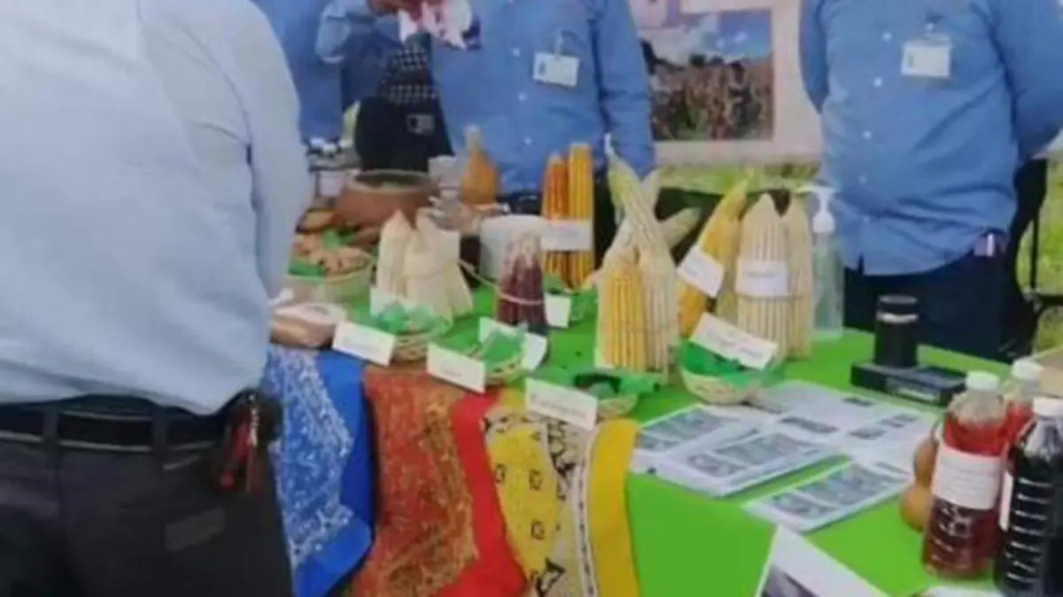 día del agricultor en Coita 2