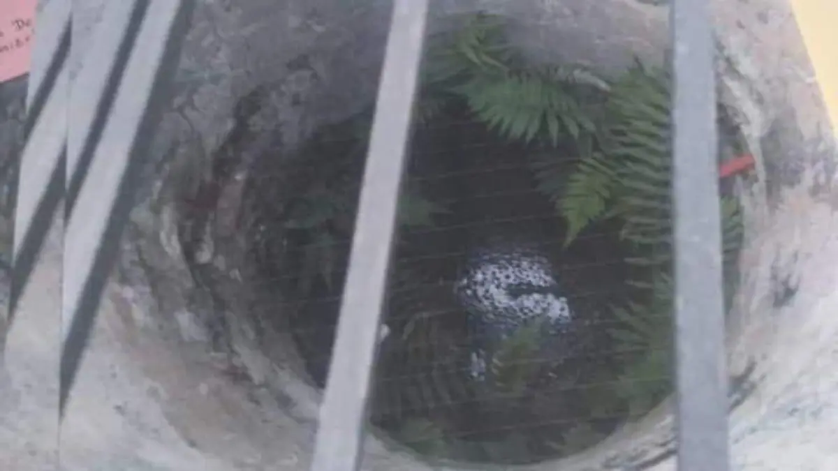 Rastros clandestinos