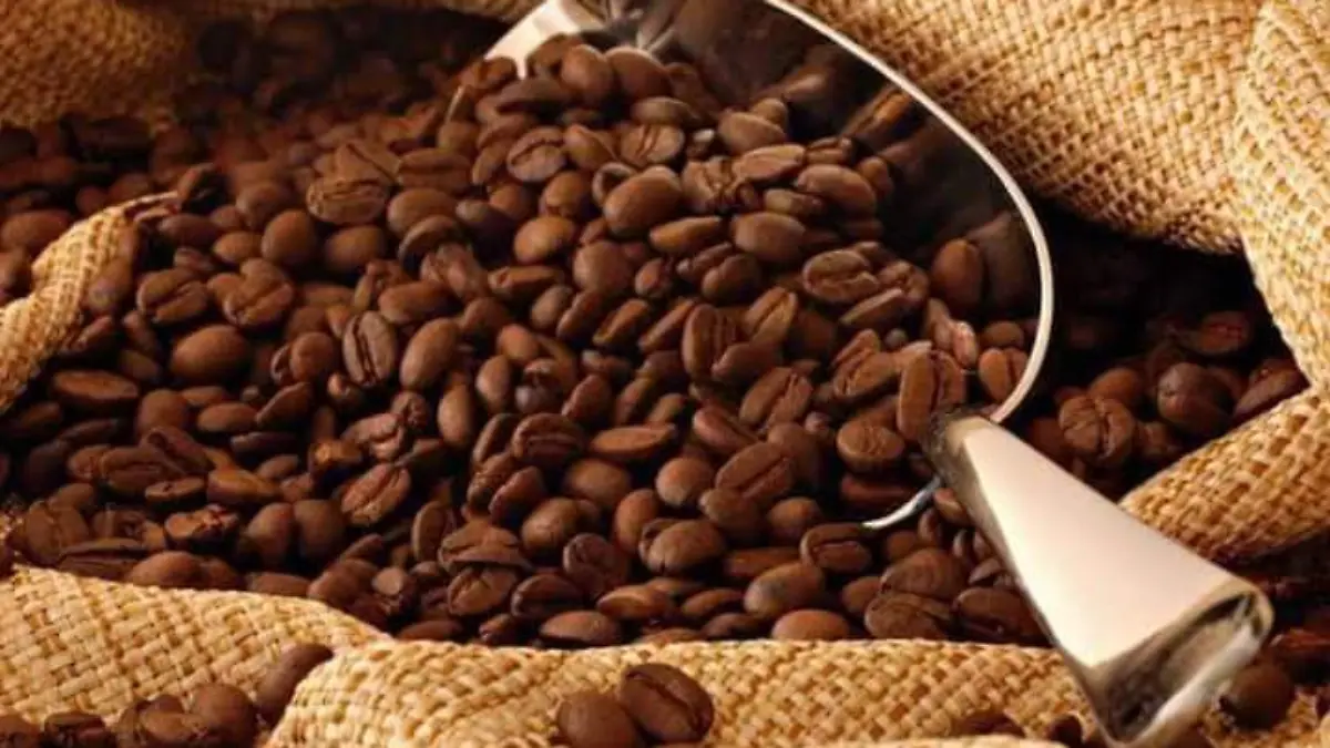 cafe en chiapas 1