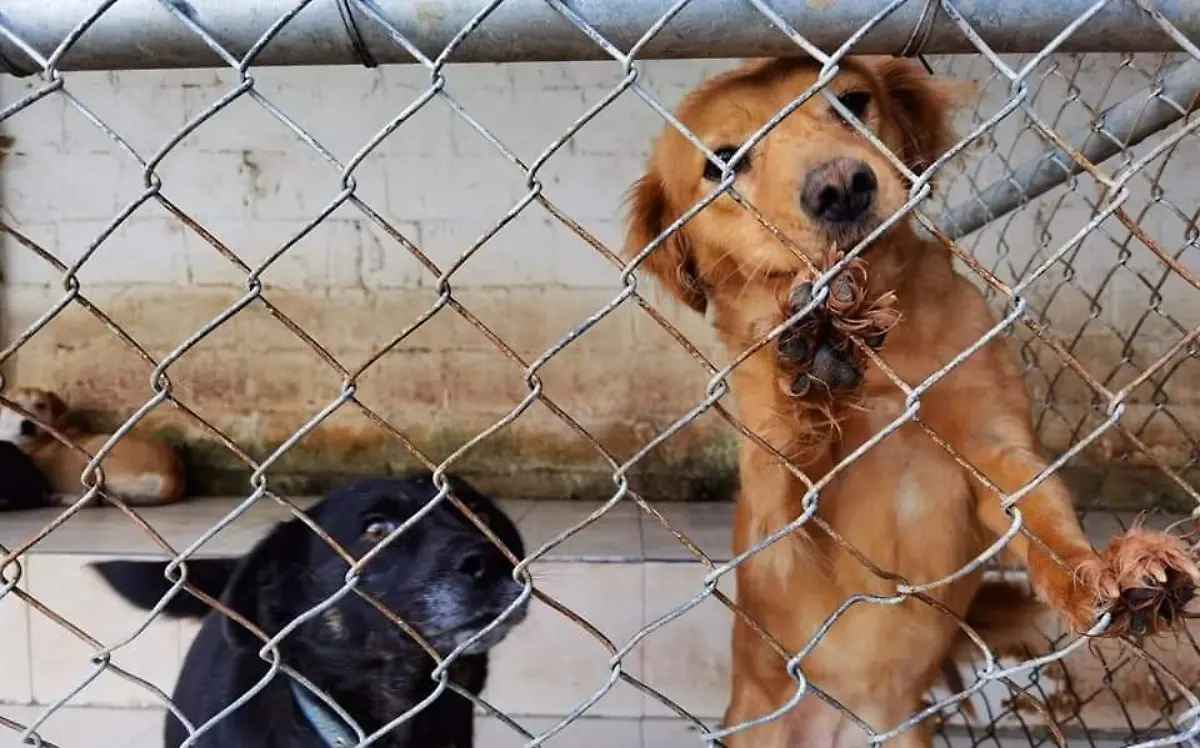 WhatsApp Image 2021-12-15 at 12.56.22 PM (1)