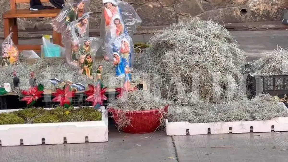 musgo para nacimientos navideños