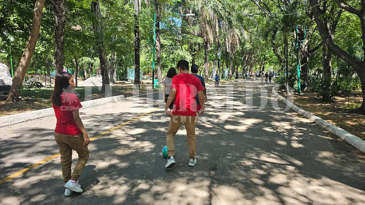 Gente caminando en parque 