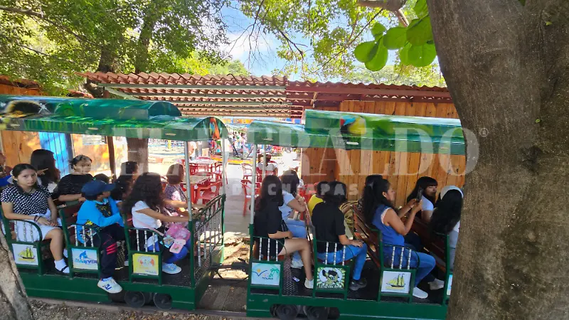 trenecito de convivencia infantil 