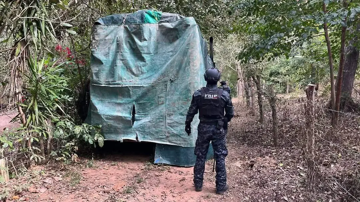 Vehículos monstruos