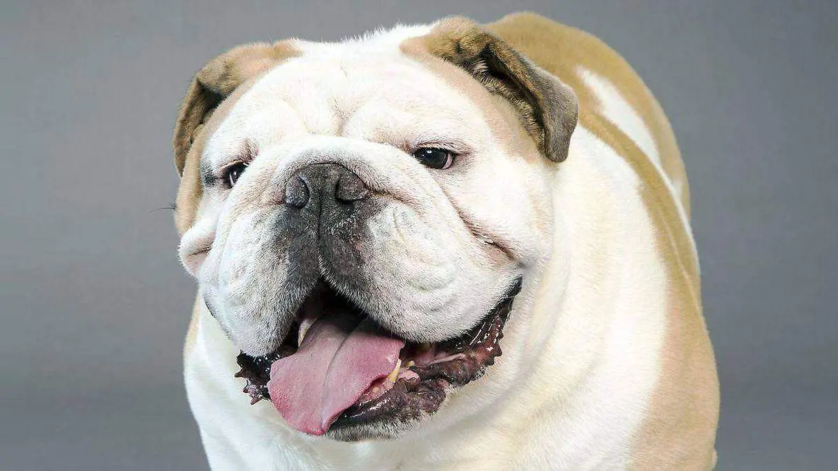 f.elconfidencial.com_original_888_289_de5_888289de55a597c86af5c6ea8d572ef8