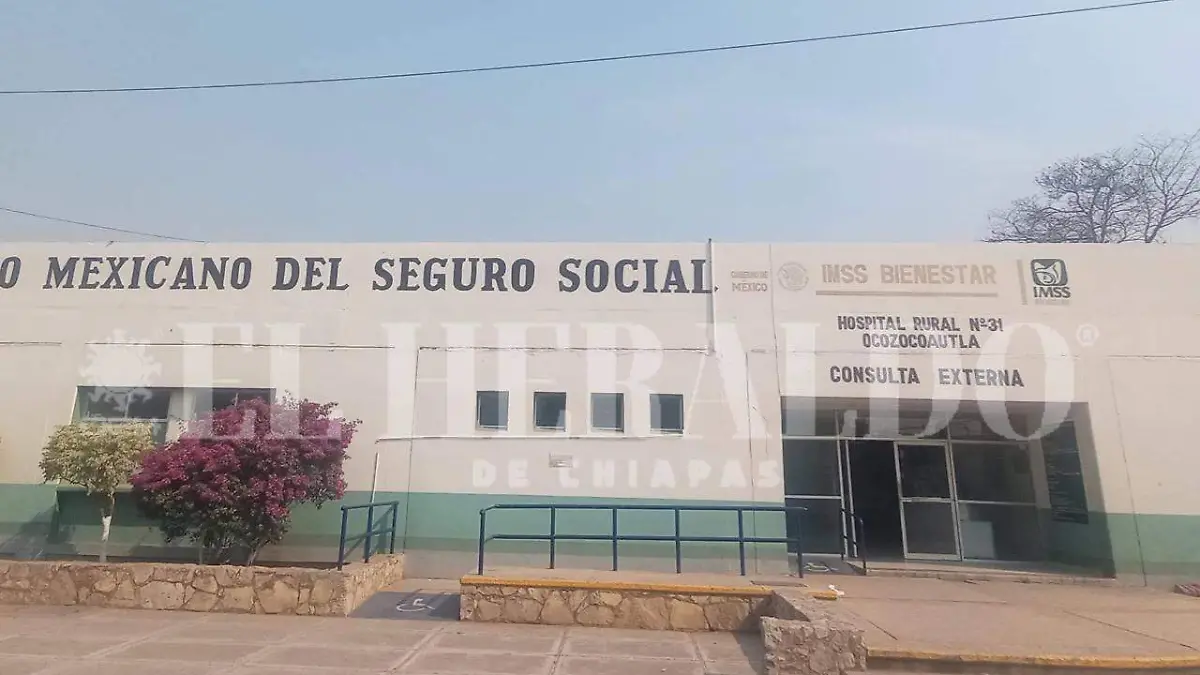 denuncia por chinches