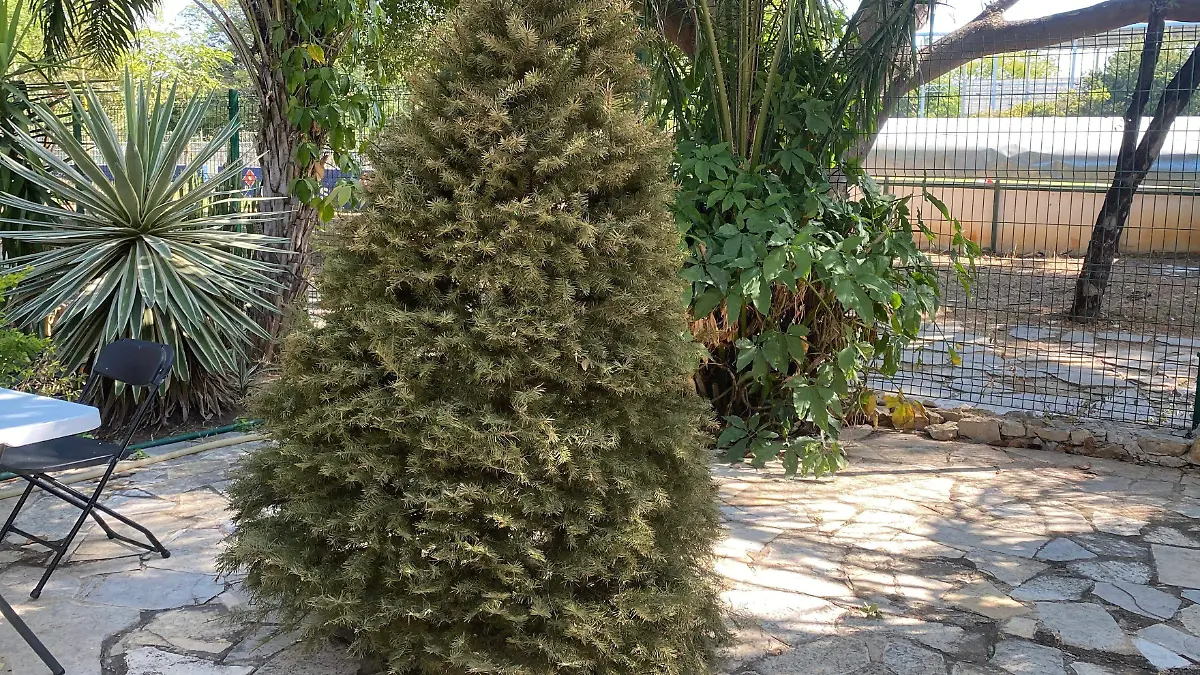 arbol de navidad 3