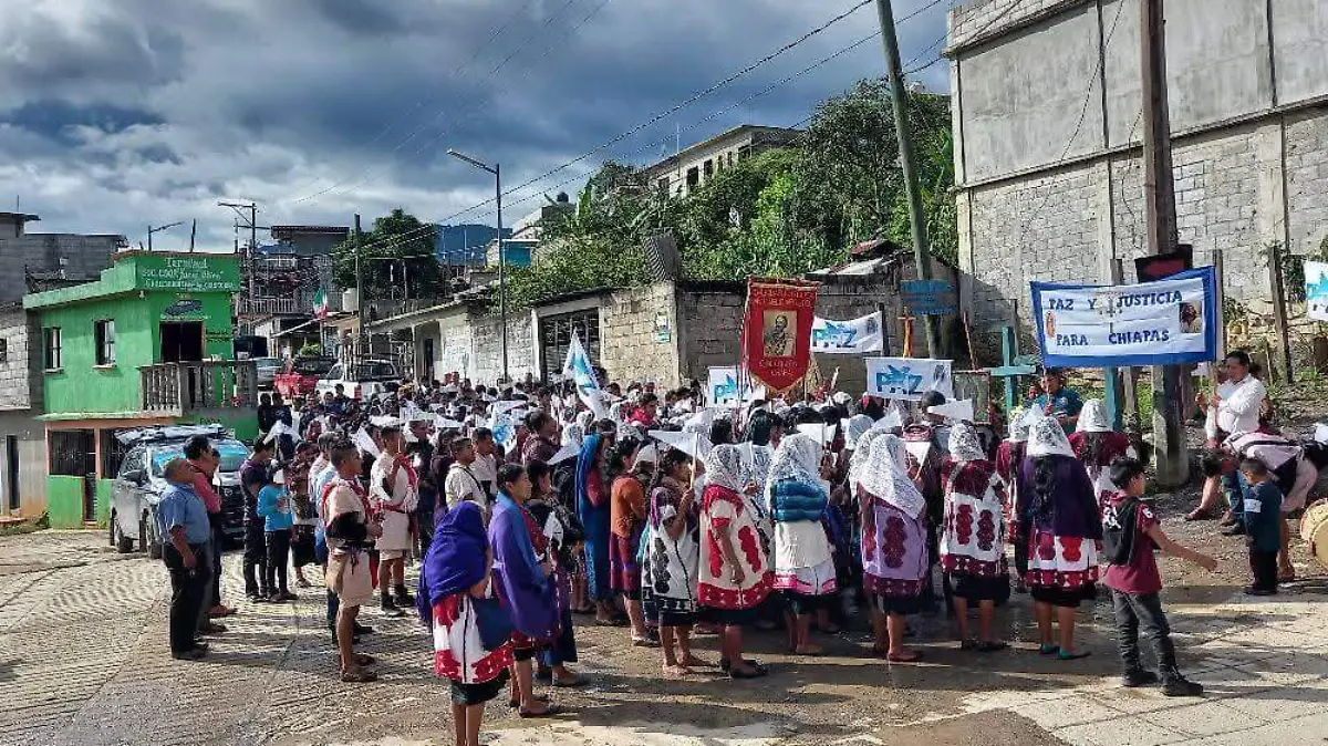 WhatsApp Image 2024-11-24 at 17.16.40 (1)