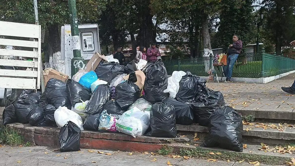 basura 4
