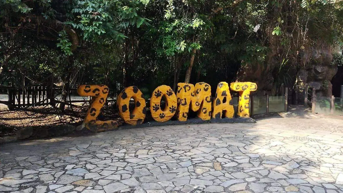zoomat
