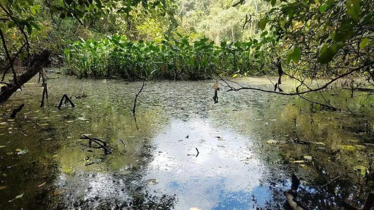 laguna