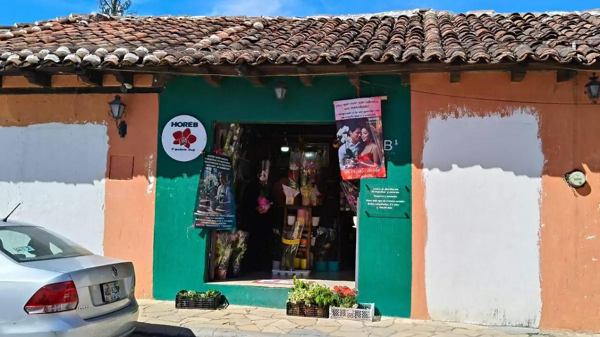 orquideas en san cristobal