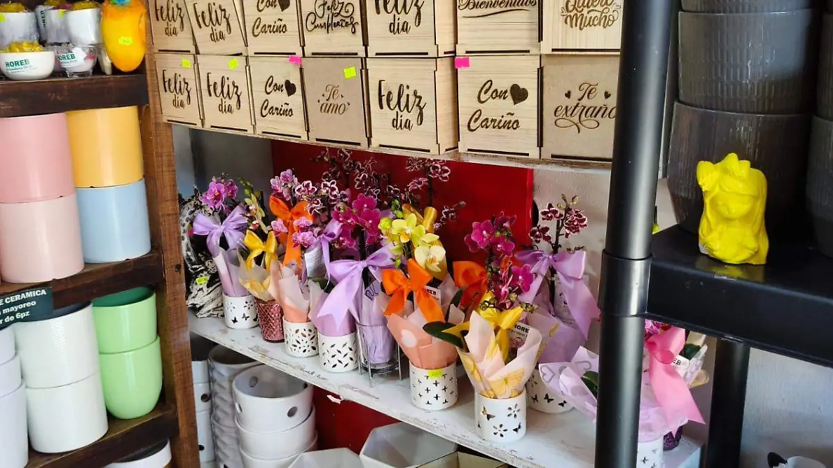 orquideas en taza